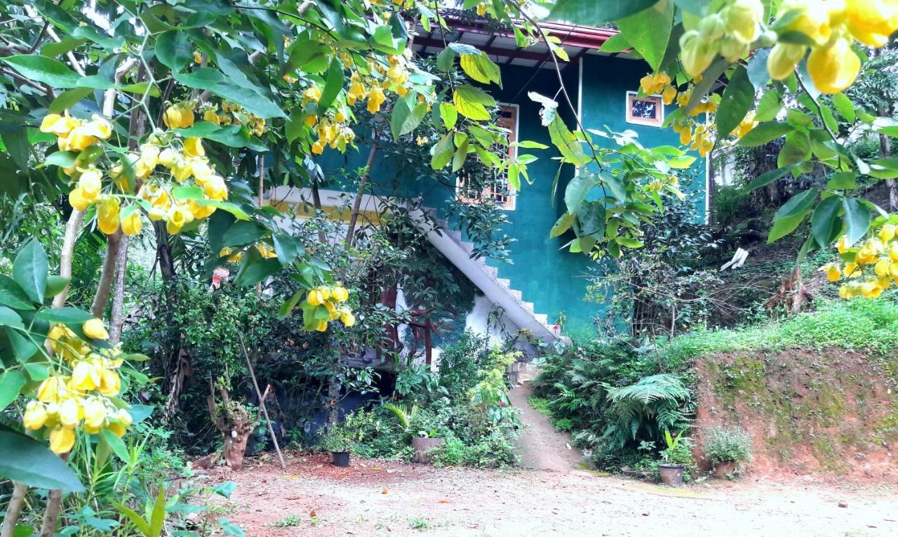 엘라 La Rochelle B&B 외부 사진